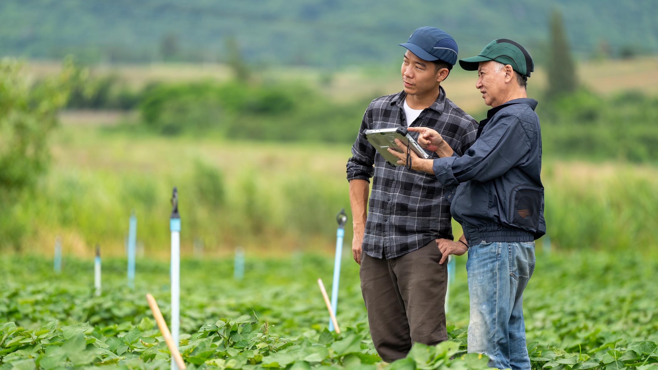 Innovation – Vater und Sohn besprechen ihre Arbeit mit einem Tablet-Computer